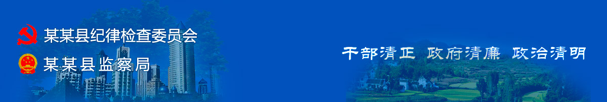 某某县纪律检查委员会